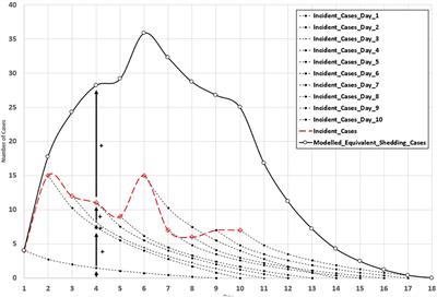 Wastewater-based epidemiology: the crucial role of viral shedding dynamics in small communities